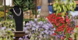 Cartier Summer Party Sparkles