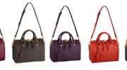 The Speedy Monogram Bag from Louis Vuitton
