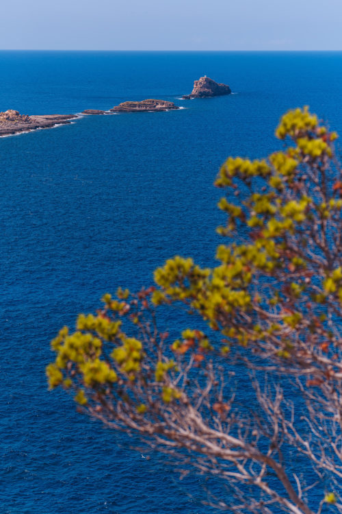 El Toro Mallorca