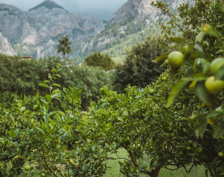 Mallorca in October