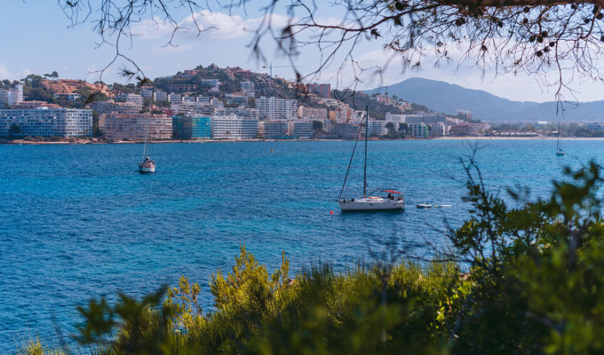 yachthafen portals nous mallorca