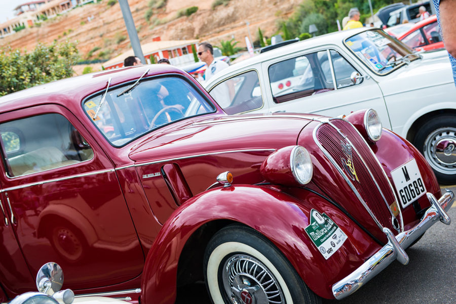 11 easy ways you can make friends in Mallorca Living in Mallorca