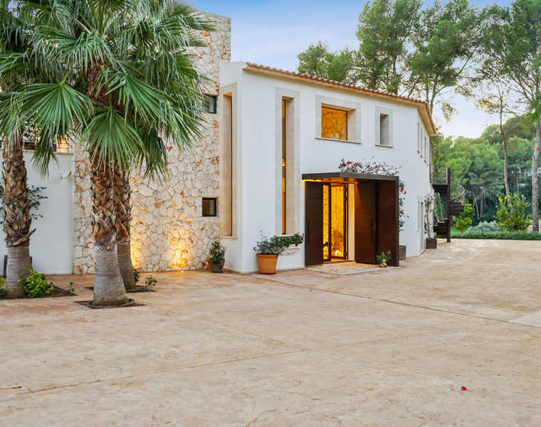 Javier James Real Estate property Son Vida