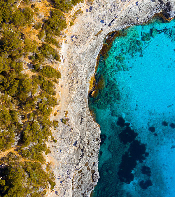 Digital nomads Mallorca