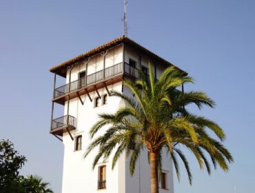 yachthafen portals nous mallorca