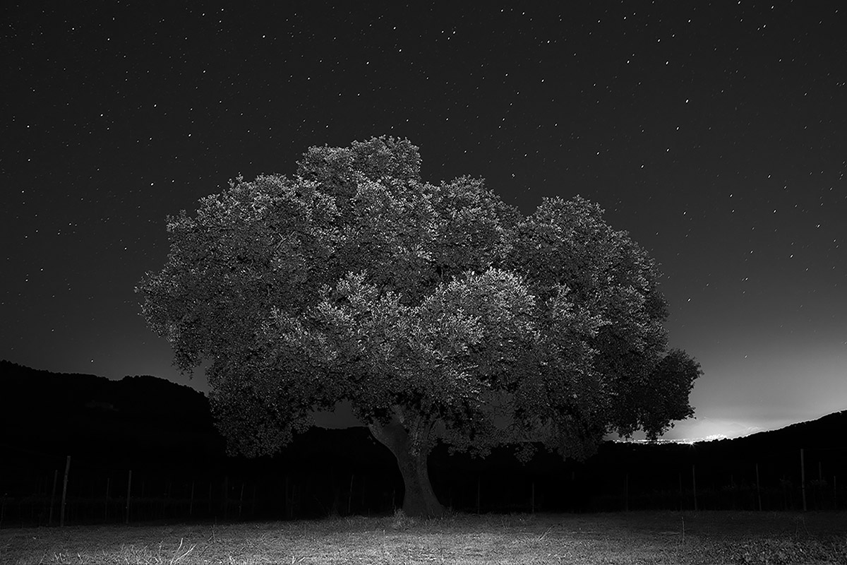 Michael Potter Photography