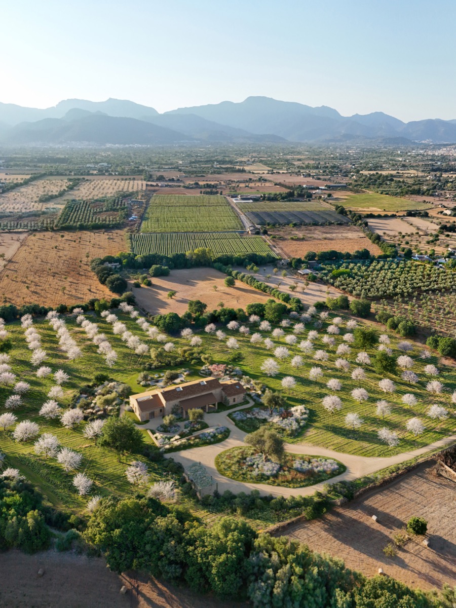 Finca for sale in Binissalem