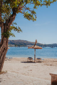 Villas in pollença for sale Villas in pollença for sale