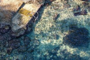 Property for sale in palmanova ABC-108080