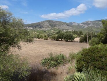 Private 58,000 m2 rural estate for sale in alaró