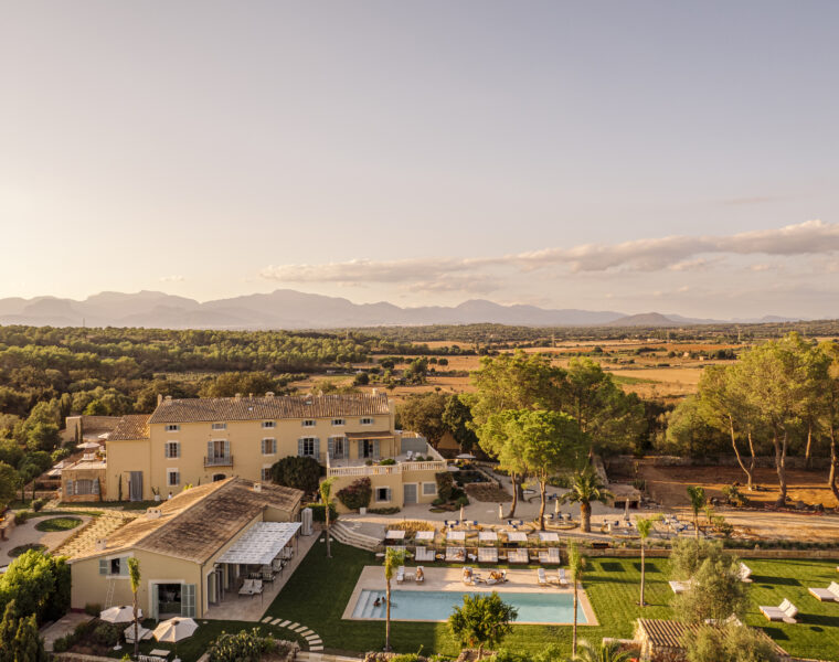 Design led new openings