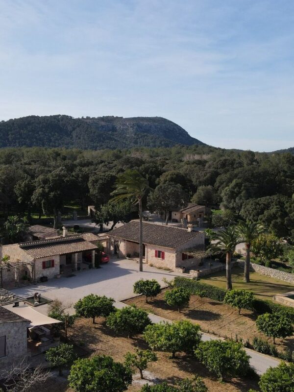 Grand equestrian estate with award winning vineyards for sale in pollensa