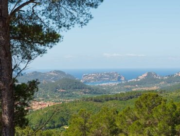 Five-bedroom traditional finca for sale with holiday license and sea views in andratx