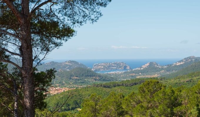 Five-bedroom traditional finca for sale with holiday license and sea views in andratx