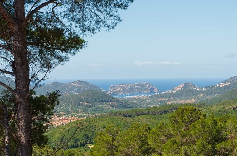 Five-bedroom traditional finca for sale with holiday license and sea views in andratx