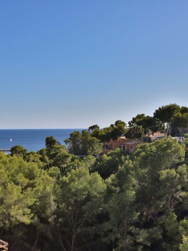 Spacious five-bedroom mediterranean villa with guest cottage and sea views for sale in costa d'en blanes