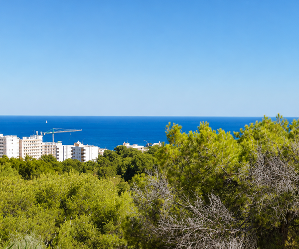 Four-bedroom mediterranean townhouse with private pool and roof terrace for sale in portals nous