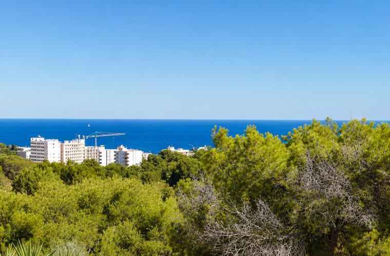 Four-bedroom mediterranean townhouse with private pool and roof terrace for sale in portals nous