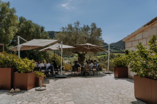 Join us for the next hc/ business networking lunch