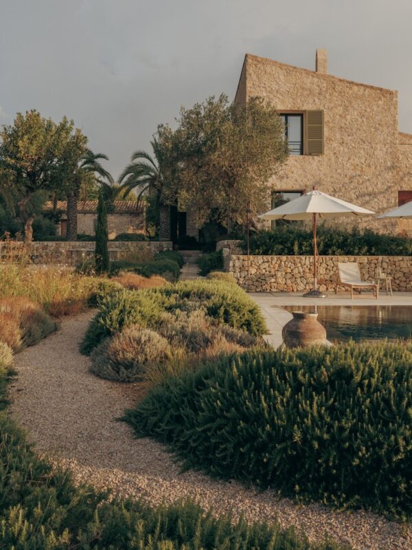 The son vida hotel facilities loved by locals