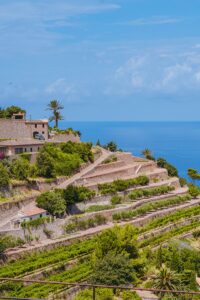 Property for sale in banyalbufar