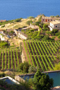 Property for sale in banyalbufar